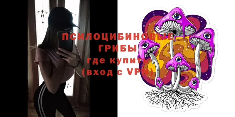 Псилоцибиновые грибы Magic Shrooms  Ачинск 